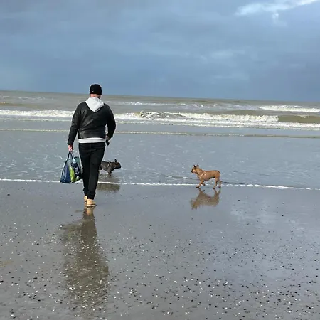 Zeebries Blankenberge